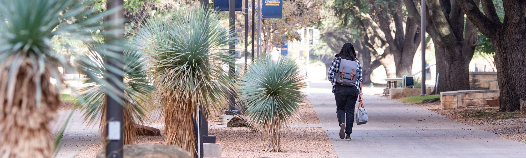 Student walking on a long sidewalk with Angelo State banners on light poles